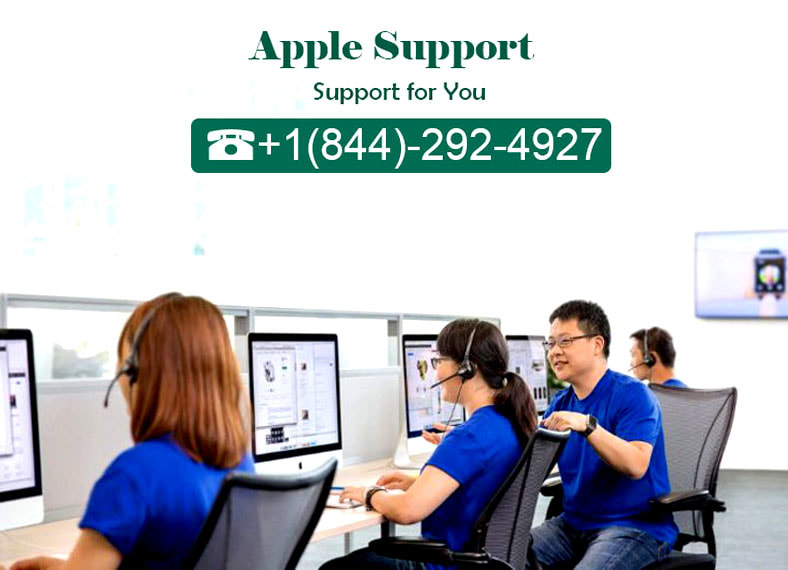 Apple Support phone Number 